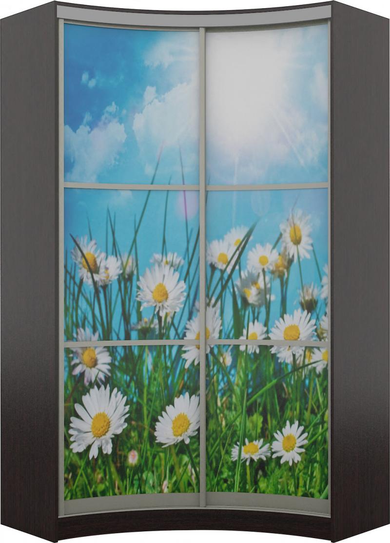 Радиусный шкаф Мельбурн-3 вариант 1