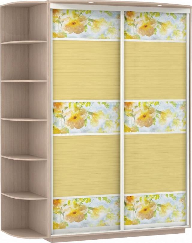 Шкаф-купе Колор-8 вариант 1