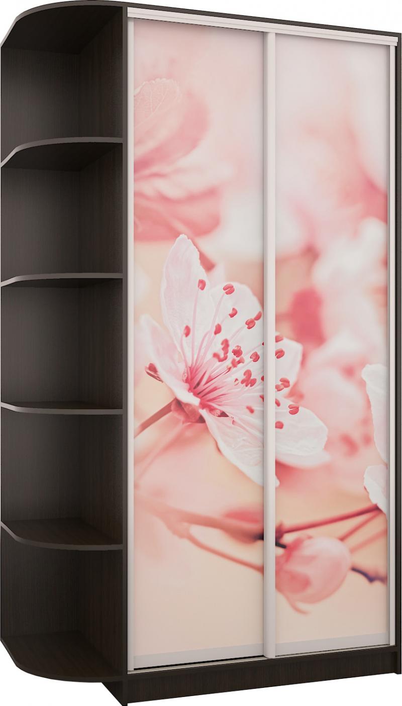 Шкаф-купе Эни-1-УФ вариант 1