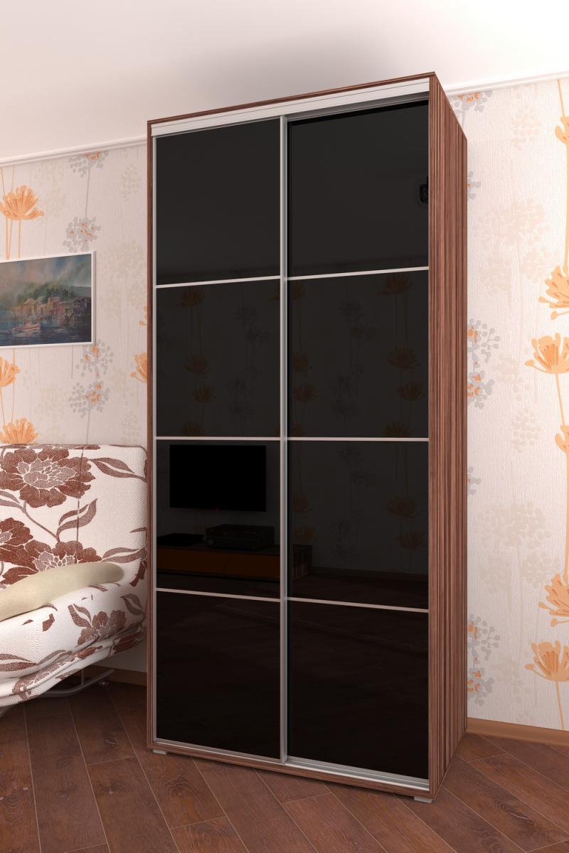 Шкаф-купе Лайн-2 вариант 5