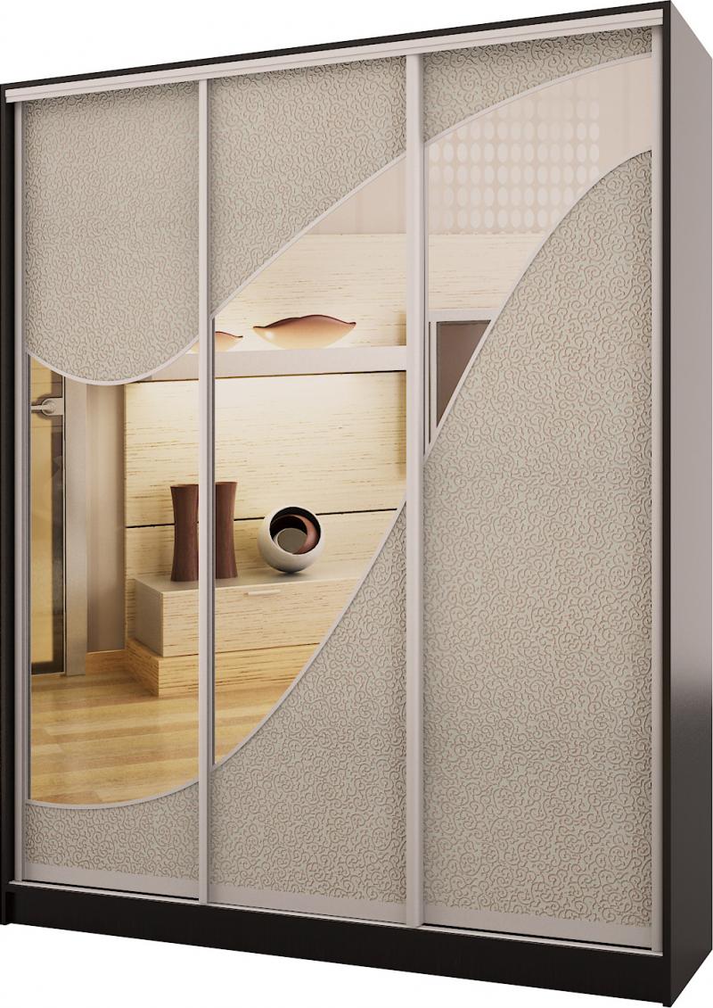 Шкаф-купе Лидл-11 Кожа вариант 1