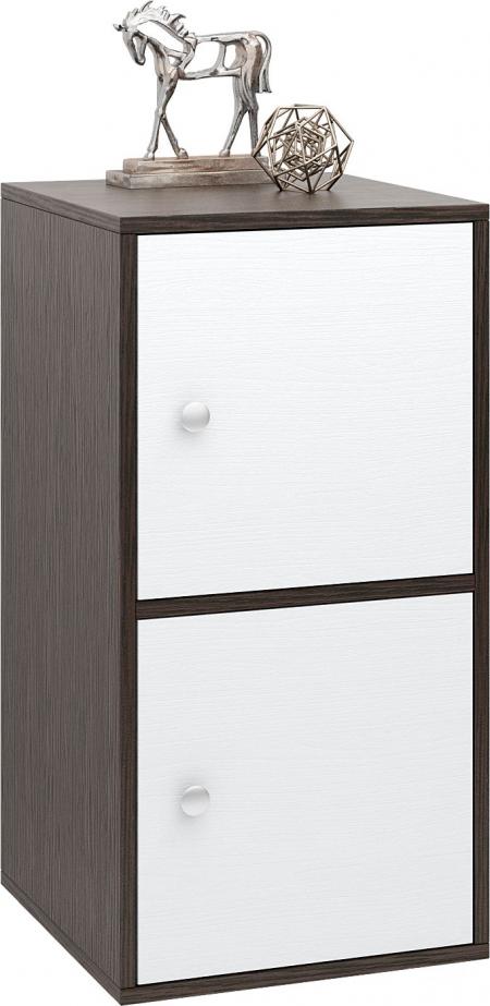 Тумба Прайм-21-2 вариант 1