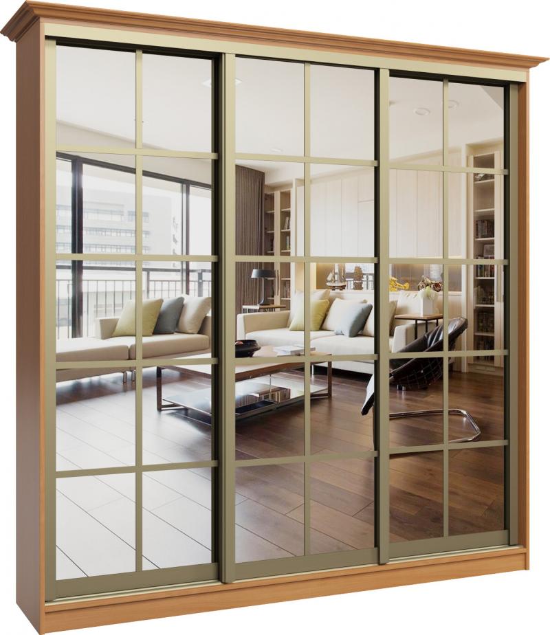 Шкаф-купе Иридиум-7 вариант 1