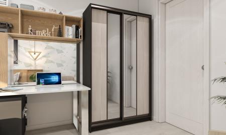 Шкаф-купе Лофт-17 вариант 1