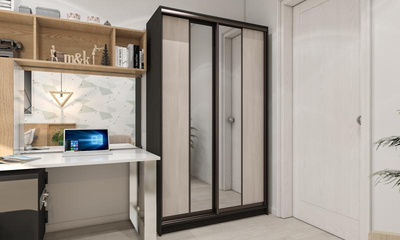 Шкаф-купе Лофт-17 вариант 2