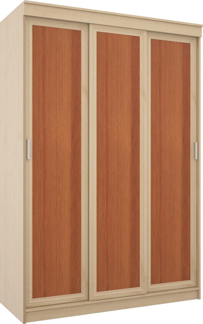 Шкаф-купе Плейн-6 вариант 1