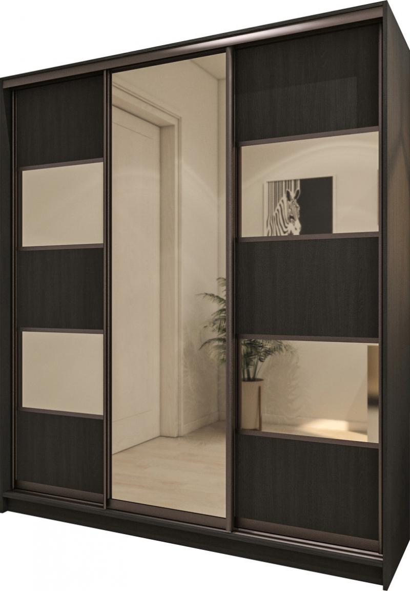 Шкаф-купе Лофт-31 вариант 1