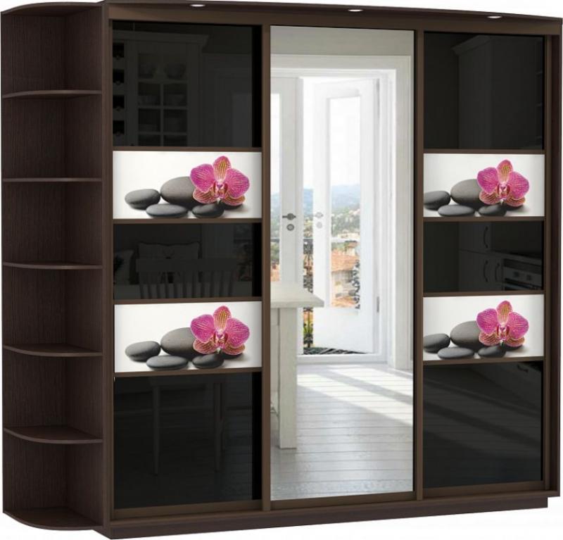 Шкаф-купе Колор-18 вариант 1