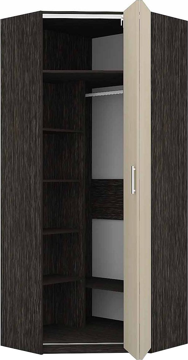 Шкаф-гармошка Аккорд-11 вариант 2