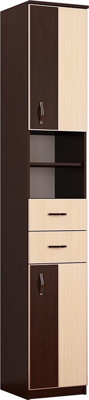 Шкаф Экон-8 вариант 1