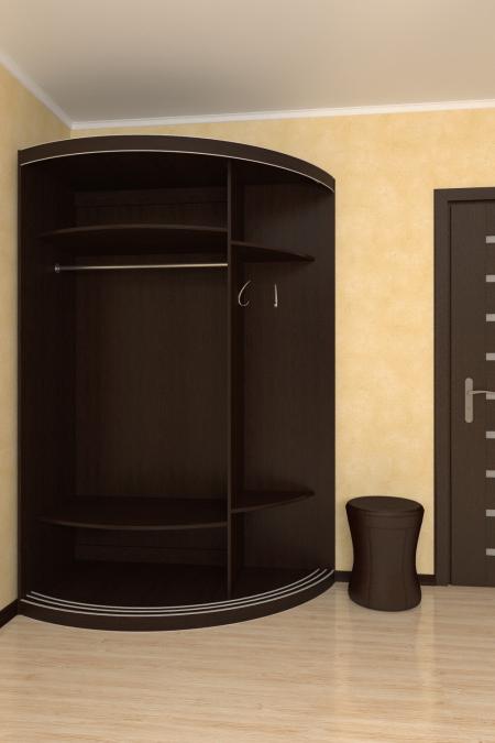 Радиусный шкаф-купе Лайн-12 вариант 2