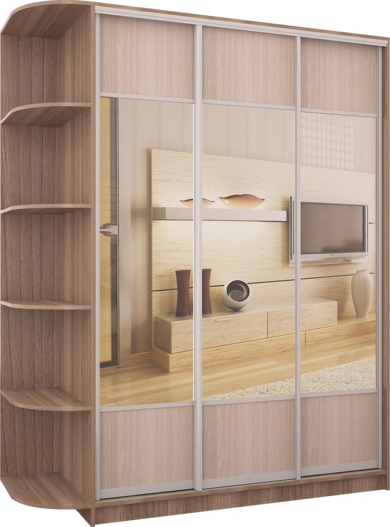 Шкаф-купе Эни-13 вариант 1