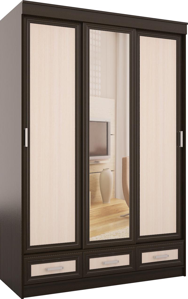 Шкаф-купе Плейн-5 вариант 1
