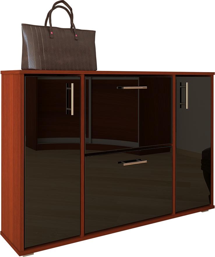 Обувница Лайн-14 вариант 1