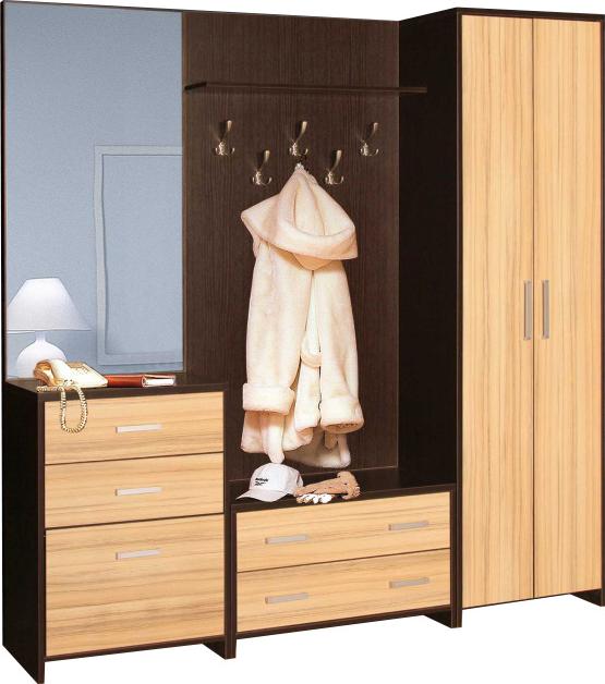 Прихожая Торонто-5 вариант 1