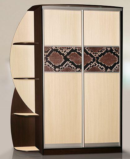 Шкаф-купе Колор-1 вариант 1