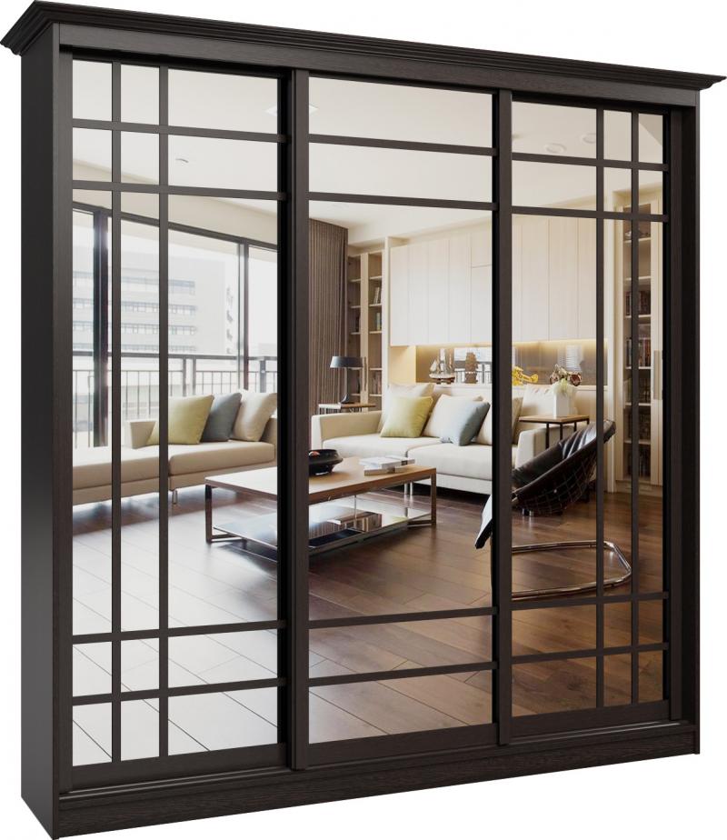 Шкаф-купе Иридиум-8 вариант 1