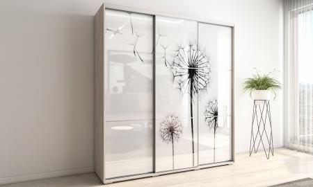 Шкаф-купе Модерн-15 вариант 1