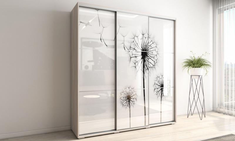 Шкаф-купе Модерн-15 вариант 2