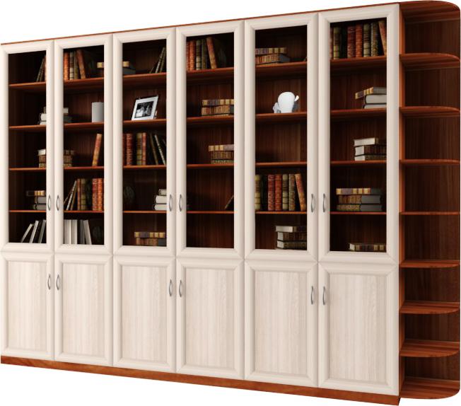 Библиотека Классико-6-6 вариант 1