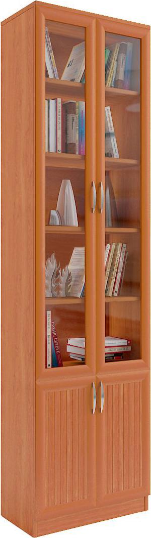 Книжный шкаф Вики-2-6 вариант 4