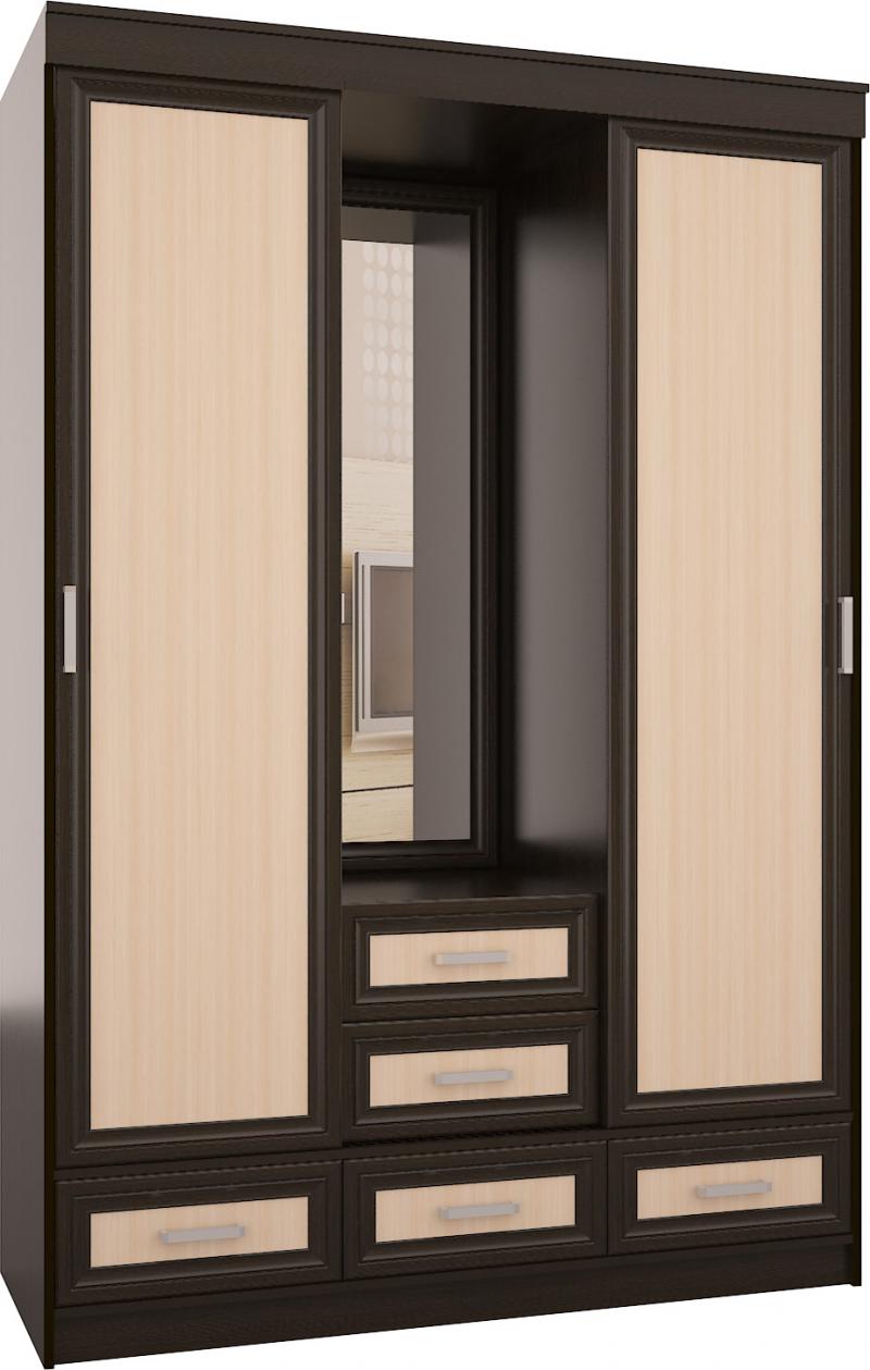 Шкаф-купе Плейн-13 вариант 1