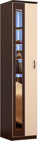 Шкаф Экон-9 вариант 1