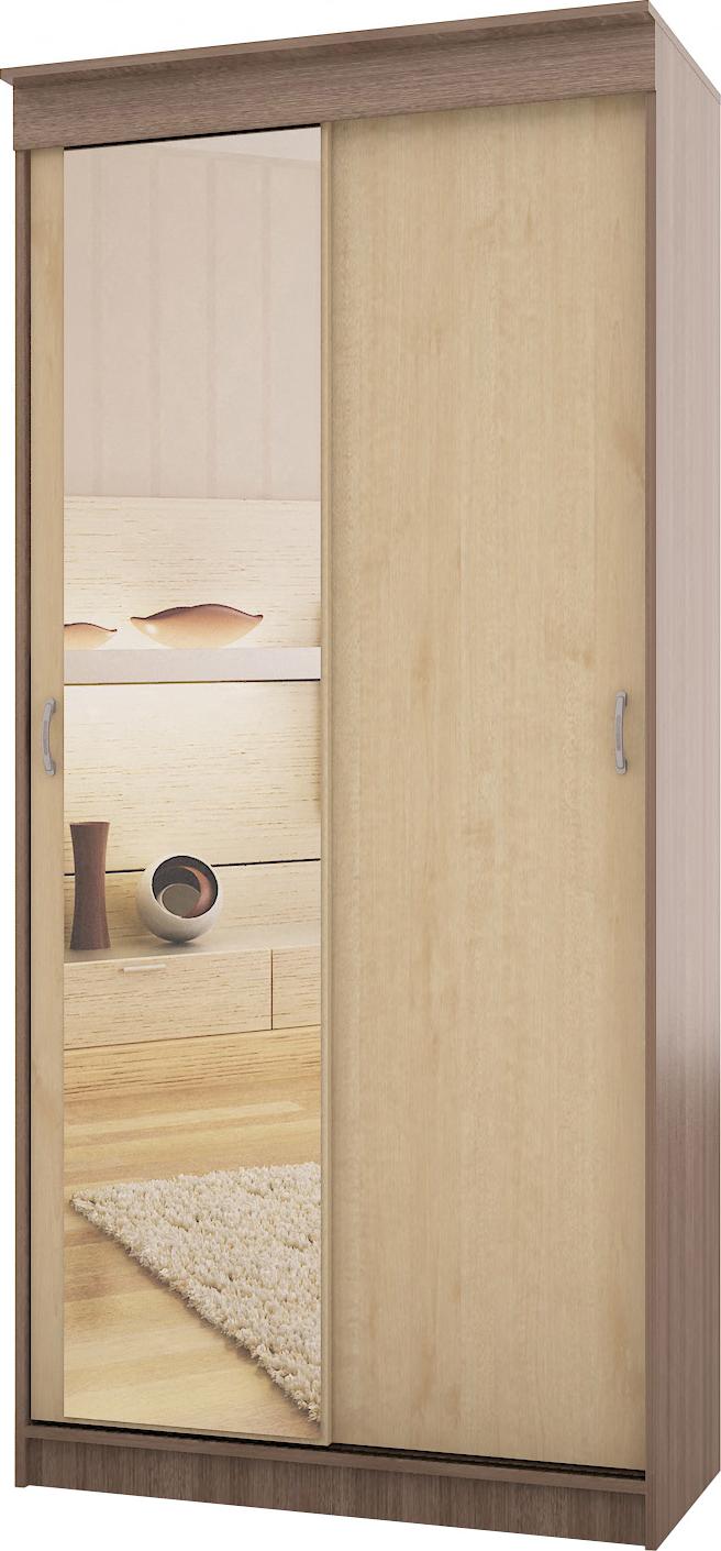 Шкаф-купе Виктори-2 вариант 1