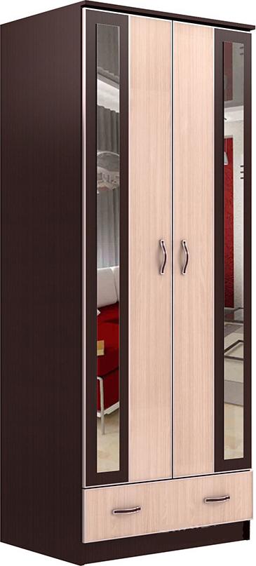 Шкаф Экон-2 вариант 1