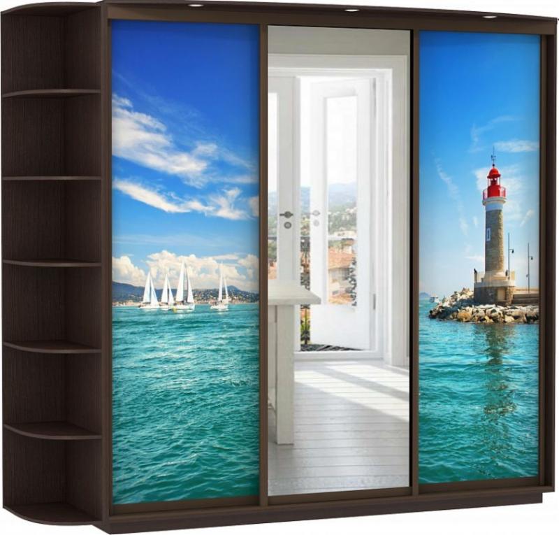 Шкаф-купе Колор-24 вариант 1