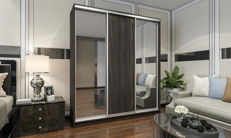 Шкаф-купе Лофт-25 вариант 2