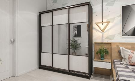 Шкаф-купе Лофт-23 вариант 0