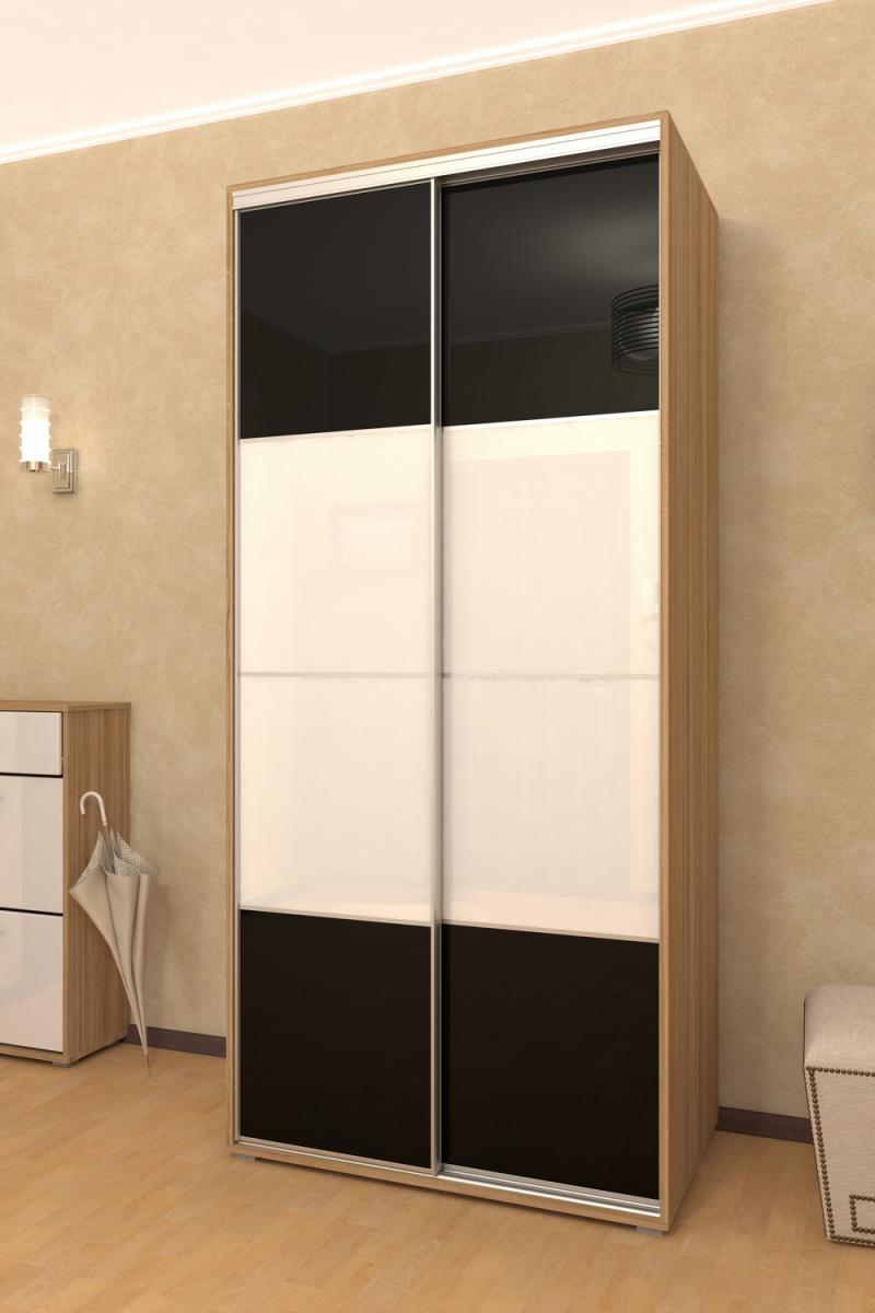 Шкаф-купе Лайн-3 вариант 3