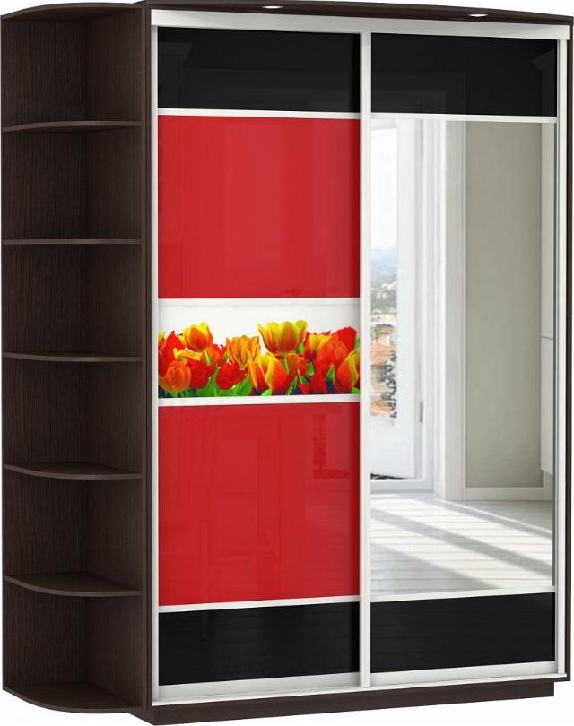 Шкаф-купе Колор-15 вариант 1