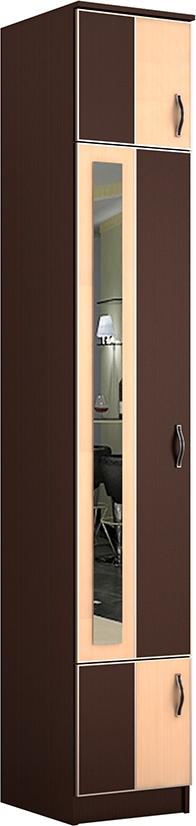 Шкаф Экон-13 вариант 1