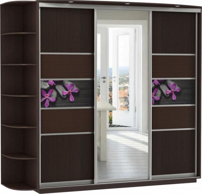 Шкаф-купе Колор-22 вариант 1