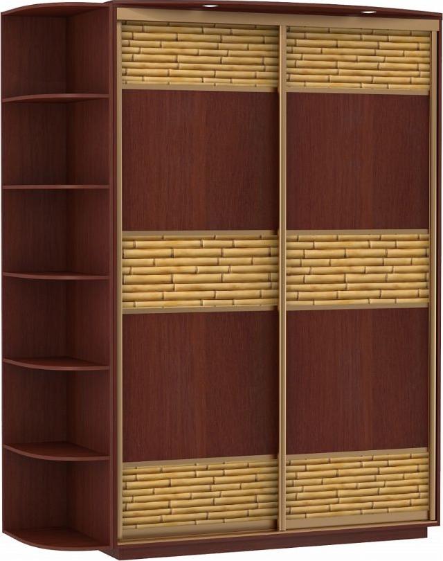 Шкаф-купе Колор-12 вариант 1