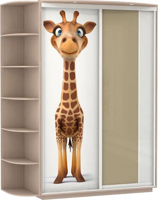 Шкаф-купе Колор-6 вариант 1