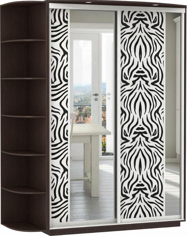 Шкаф-купе Колор-9 вариант 1