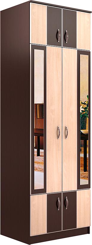 Шкаф Экон-6 вариант 1