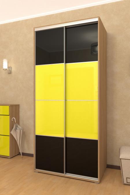 Шкаф-купе Лайн-3 вариант 4