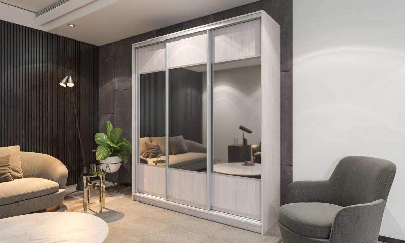 Шкаф-купе Лофт-23 вариант 2