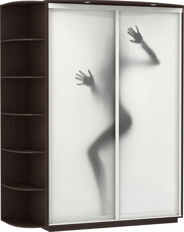 Шкаф-купе Колор-13 вариант 1