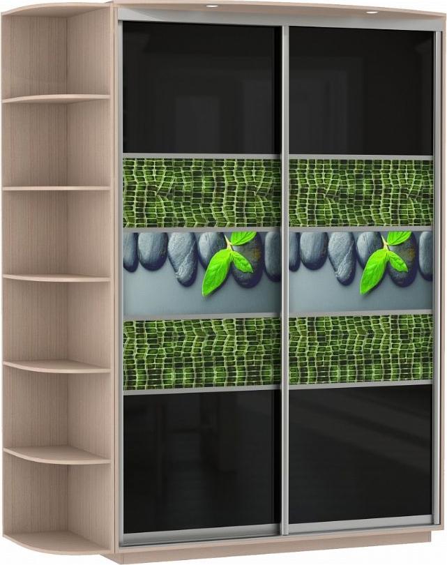 Шкаф-купе Колор-4 вариант 1