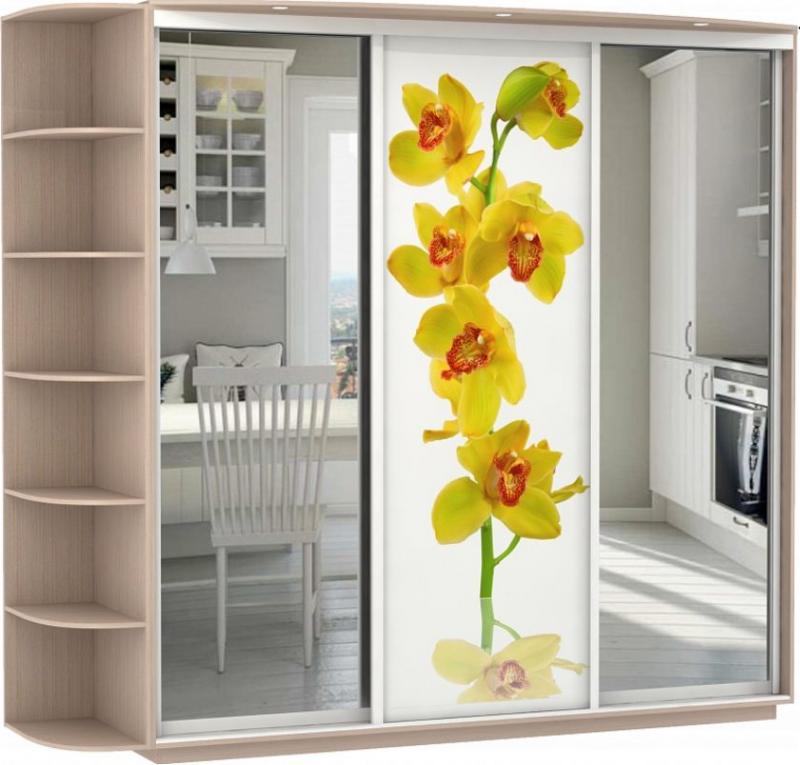 Шкаф-купе Колор-25 вариант 1