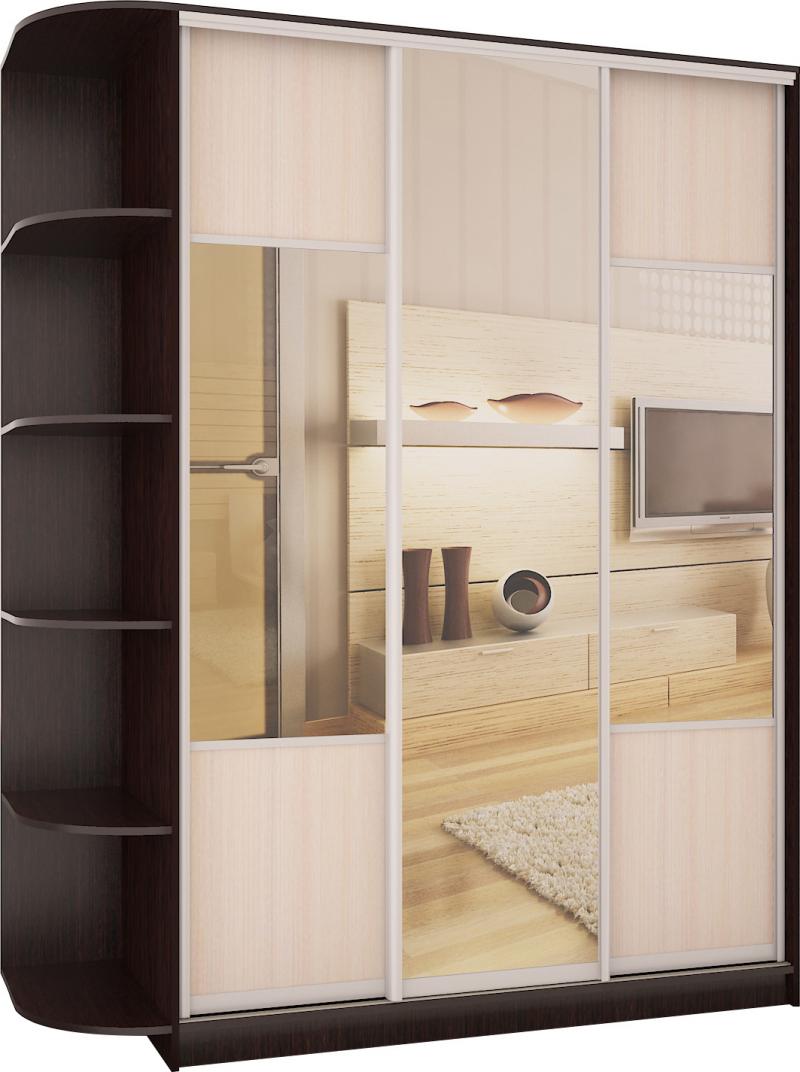 Шкаф-купе Эни-12 вариант 1